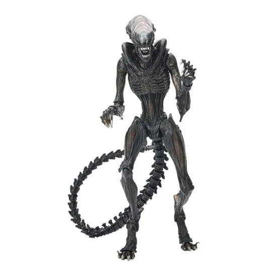 NECA Alien: Covenant Xenomorph 7-Inch Action Figure – Articulated Alien Collectible
