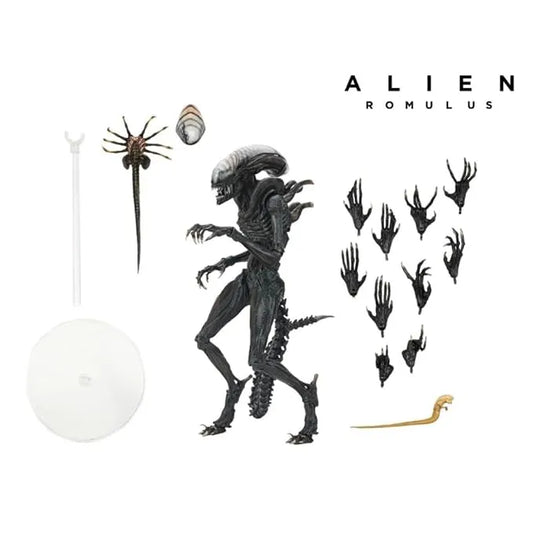 NECA Alien: Covenant Xenomorph 7-Inch Action Figure – Articulated Alien Collectible